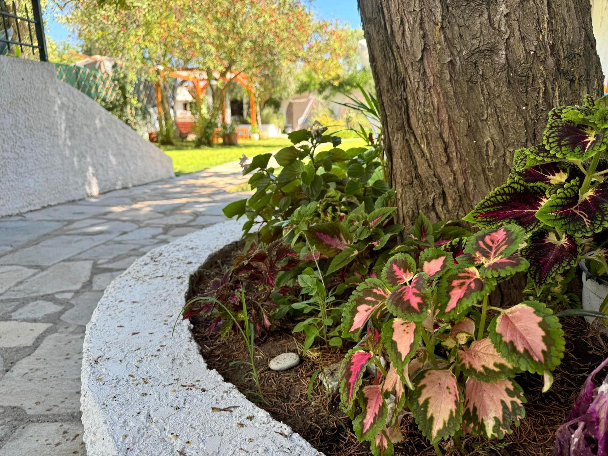 Villa Molos Λιμένας Εξωτερικό φωτογραφία