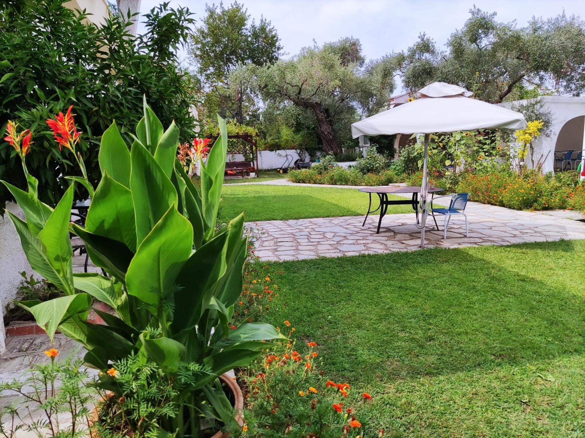 Villa Molos Λιμένας Εξωτερικό φωτογραφία